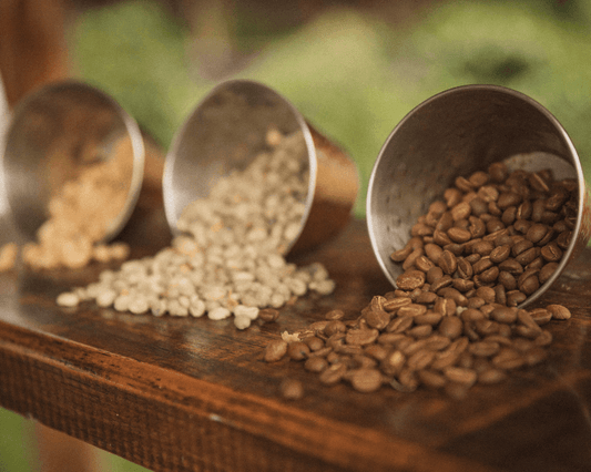 5 Reasons to Love Organic Small-Batch Coffee