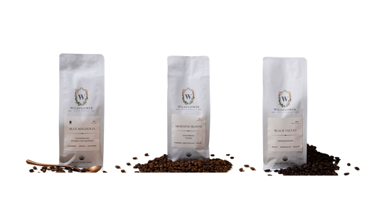 Discover the Best Organic Coffee for Your Morning Boost