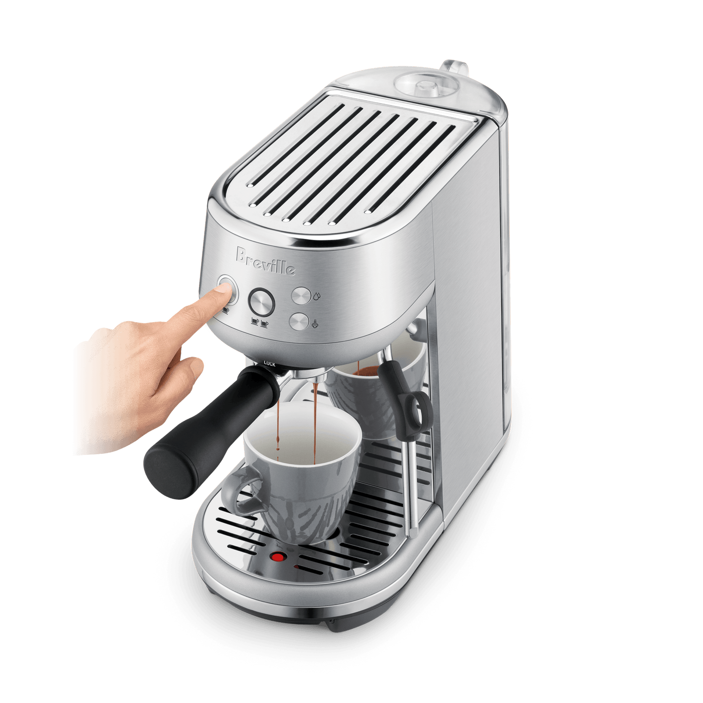 The Bambino - Wildflower Coffee Company
