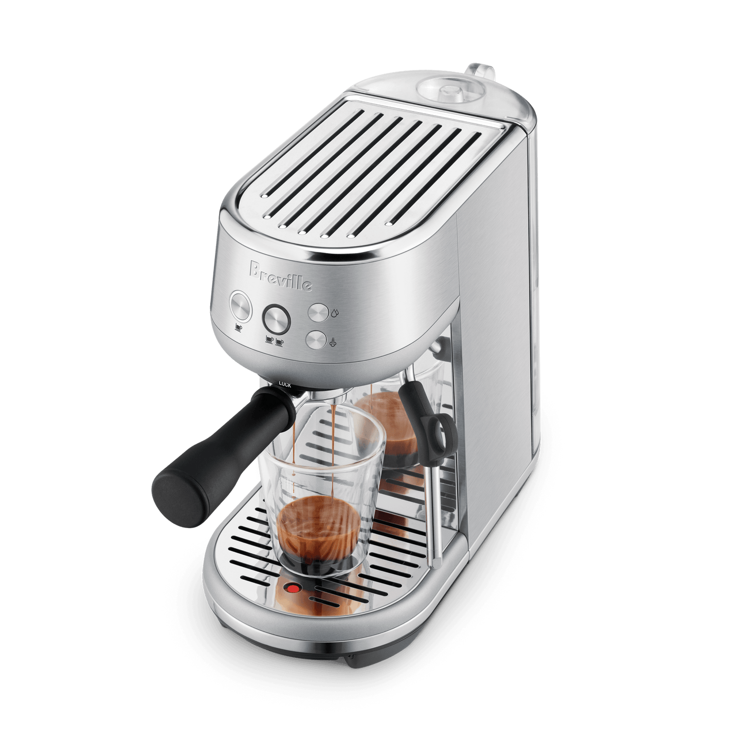The Bambino - Wildflower Coffee Company