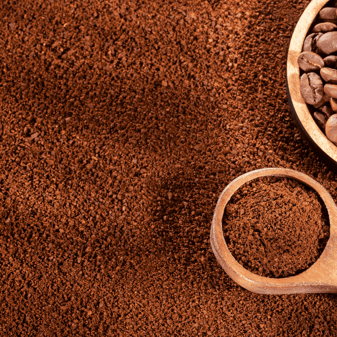 RAINFOREST | ESPRESSO BLEND - Wildflower Coffee Company