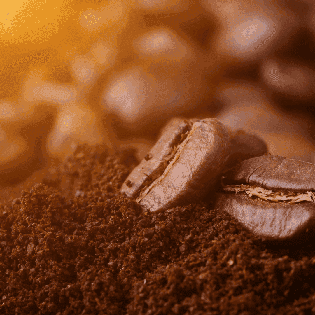 BLACK VELVET | ESPRESSO - Wildflower Coffee Company