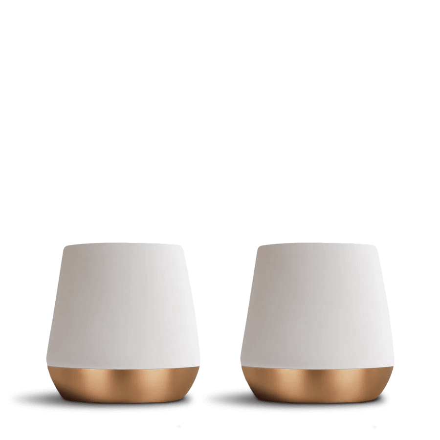 Double Wall Ceramic Mug - Wildflower Coffee Company