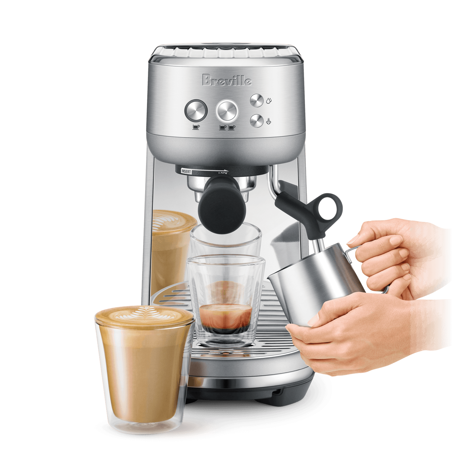 The Bambino - Wildflower Coffee Company