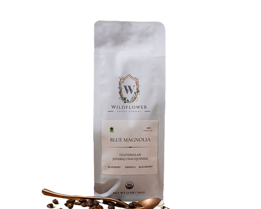 Why More Coffee Drinkers Are Turning to Subscriptions: A Practical Guide for Choosing the Right One