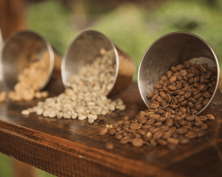 5 Reasons to Love Organic Small-Batch Coffee