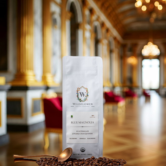 The Complete Guide to Specialty Coffee & Tea: From Origins to Daily Rituals