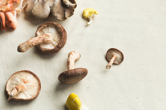 Mushroom Coffee | What is it and is it really good for you?