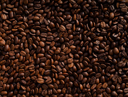 Specialty coffee beans close-up — the raw material of exceptional coffee