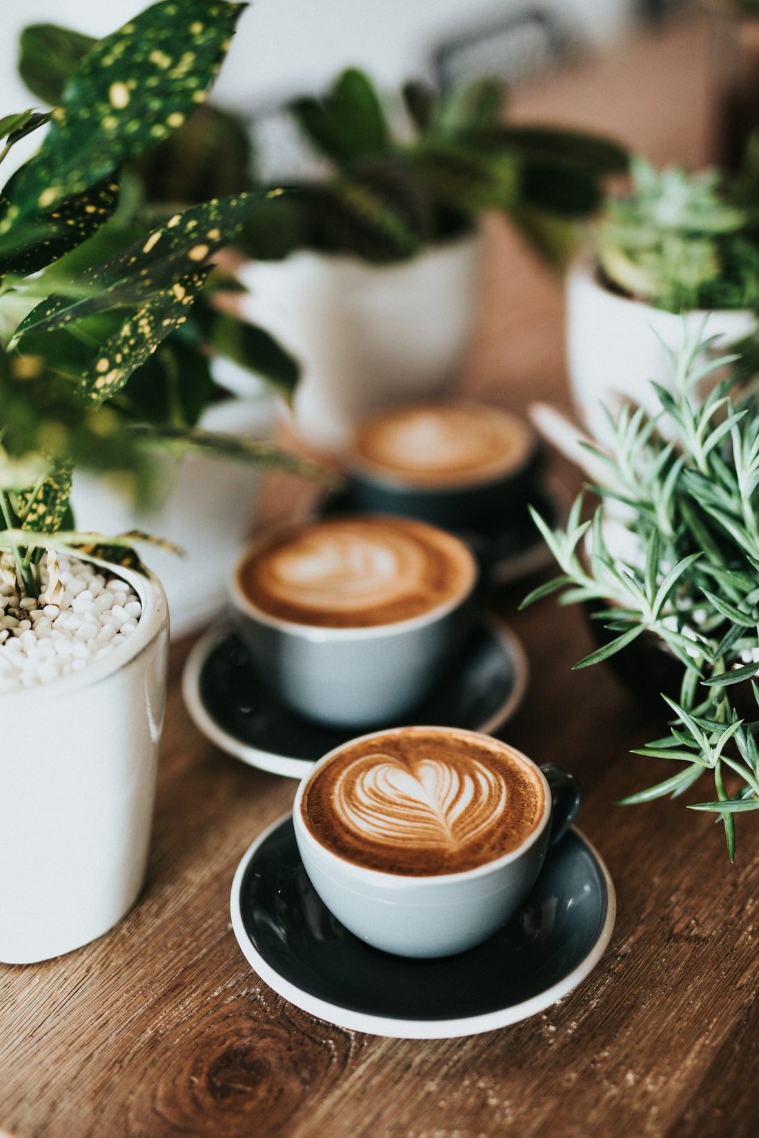 Clean morning coffee cup — specialty brew in natural light