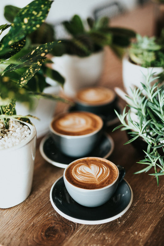 Clean morning coffee cup — specialty brew in natural light