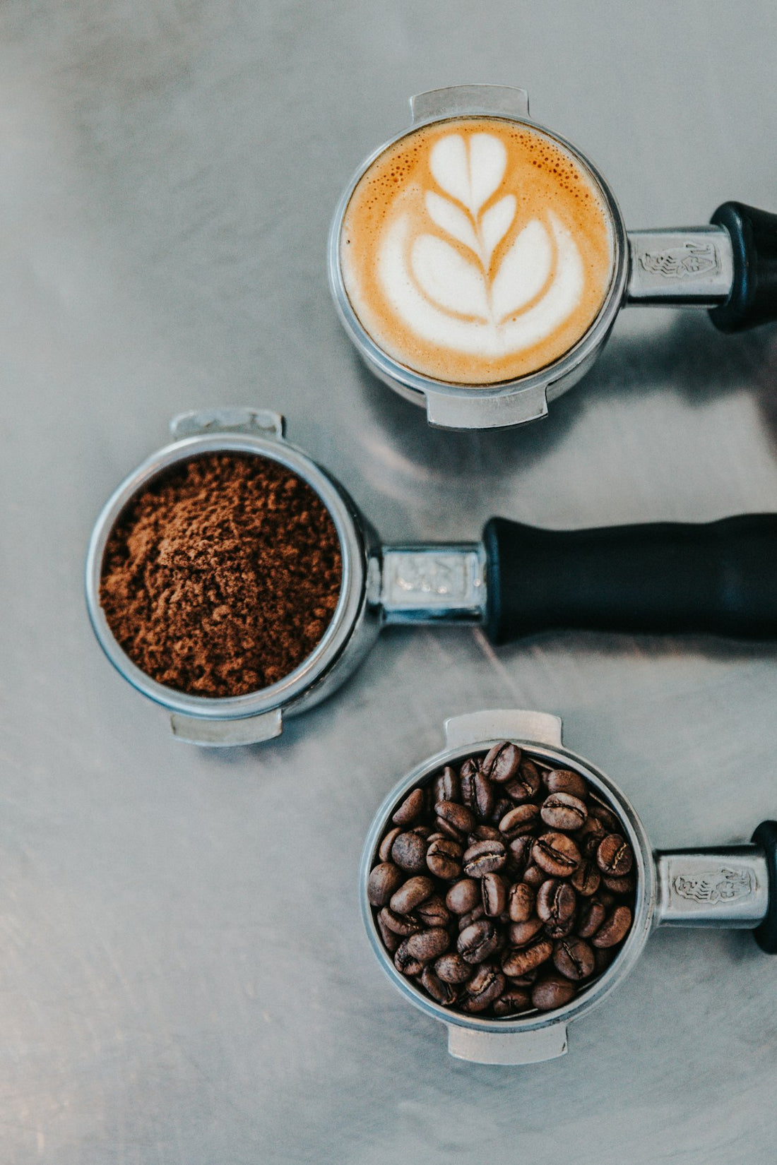 Coffee cherries on the branch — direct trade sourcing at origin