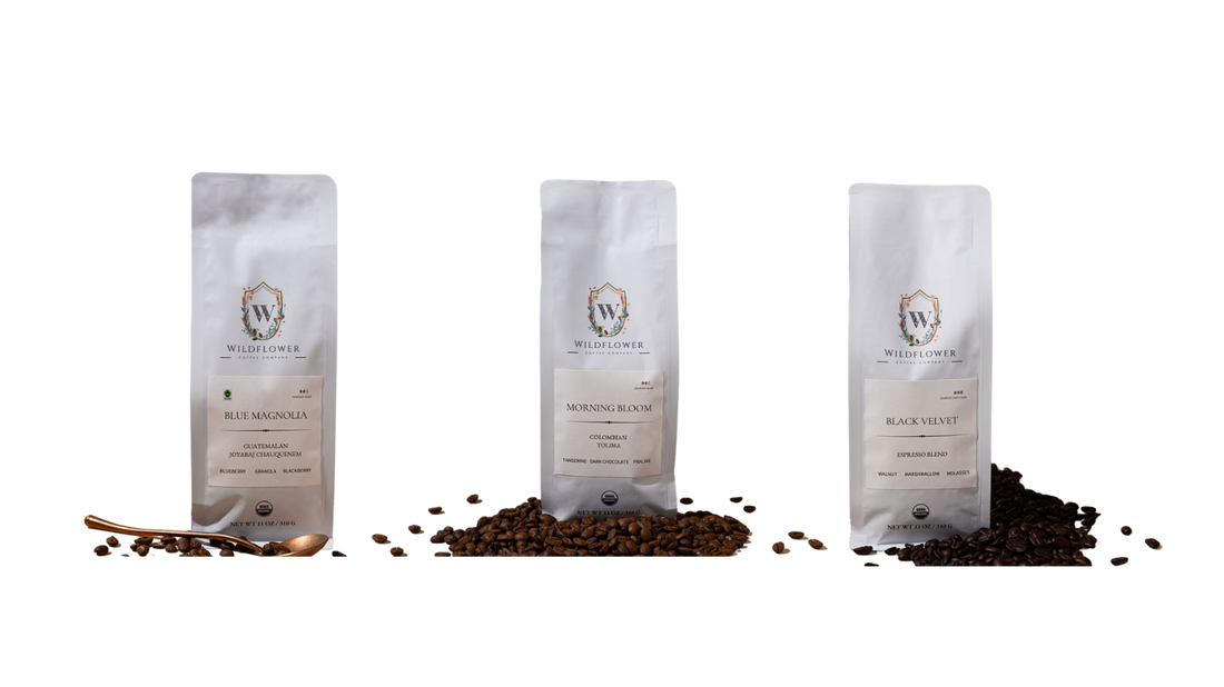 Discover the Best Organic Coffee for Your Morning Boost