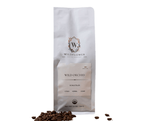 WILD ORCHID | SUMATRAN